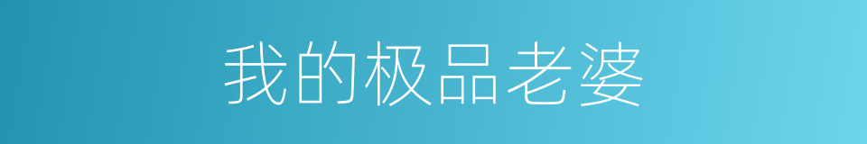 我的极品老婆的同义词