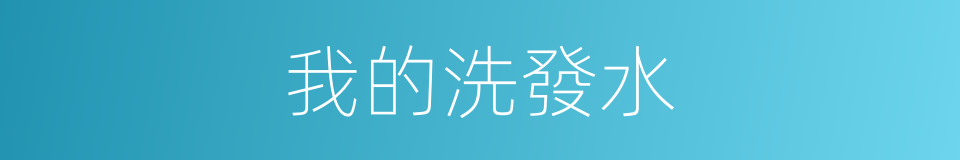 我的洗發水的同義詞