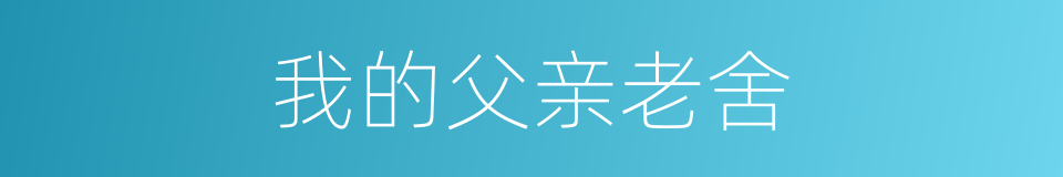 我的父亲老舍的同义词