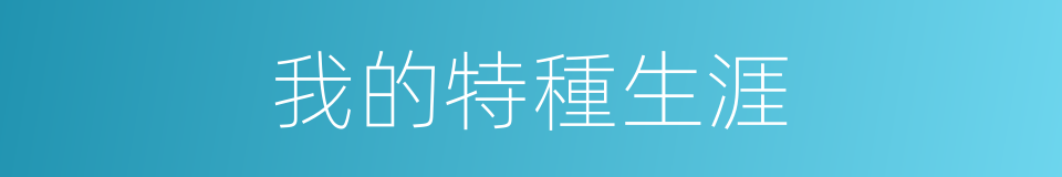 我的特種生涯的同義詞