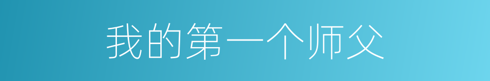 我的第一个师父的同义词