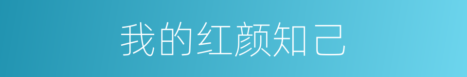 我的红颜知己的同义词