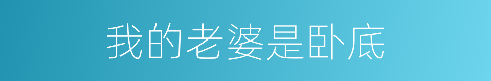 我的老婆是卧底的同义词