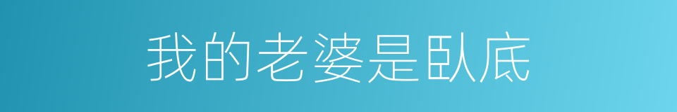 我的老婆是臥底的同義詞