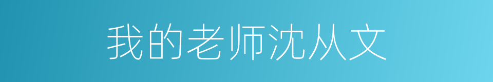 我的老师沈从文的同义词