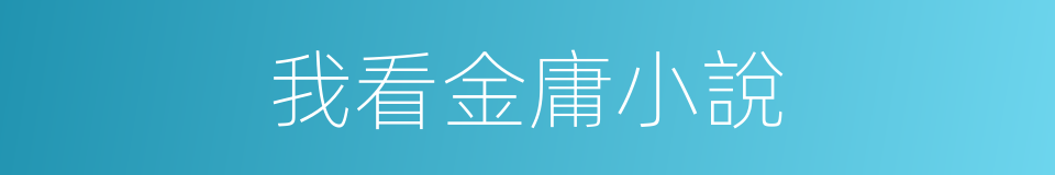 我看金庸小說的同義詞