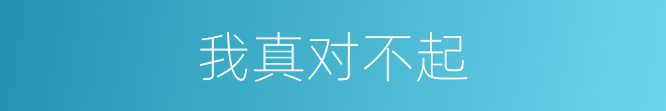 我真对不起的同义词