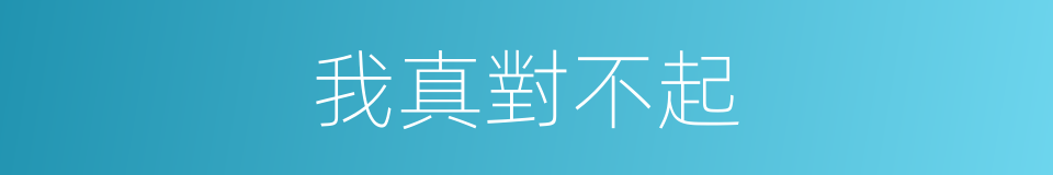 我真對不起的同義詞