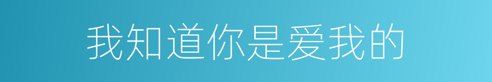我知道你是爱我的的同义词