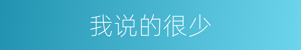 我说的很少的同义词