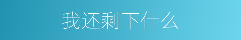 我还剩下什么的同义词