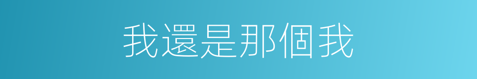 我還是那個我的同義詞
