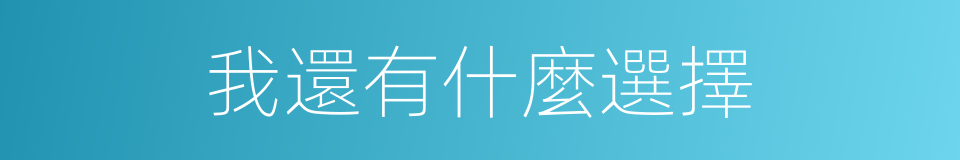 我還有什麼選擇的同義詞