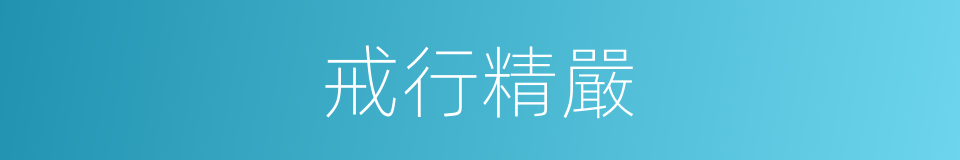戒行精嚴的同義詞