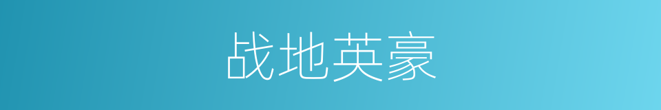 战地英豪的同义词