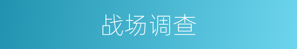 战场调查的同义词