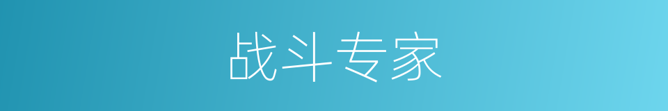 战斗专家的同义词