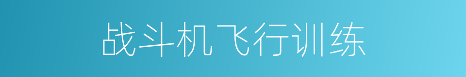 战斗机飞行训练的同义词