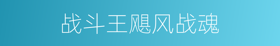 战斗王飓风战魂的同义词