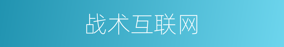 战术互联网的同义词