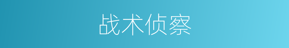 战术侦察的同义词