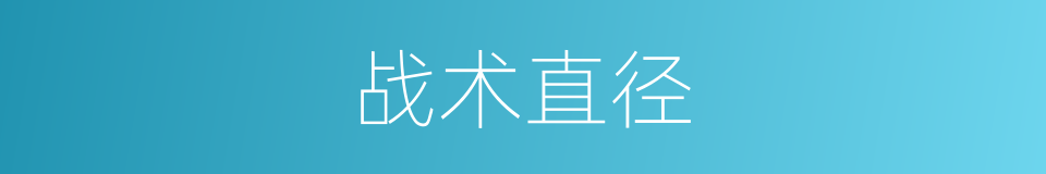 战术直径的同义词