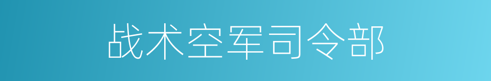 战术空军司令部的同义词