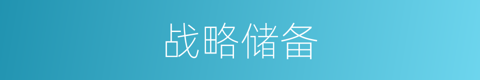 战略储备的同义词