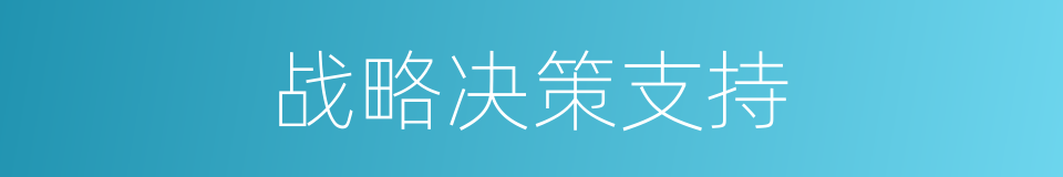 战略决策支持的同义词