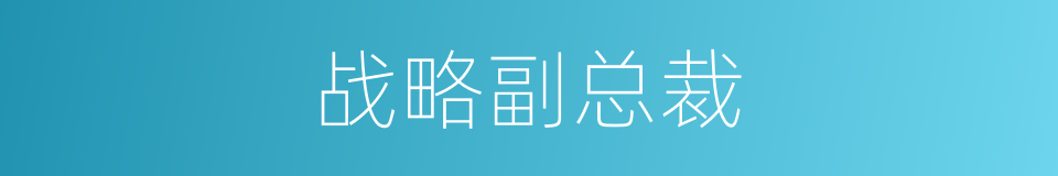 战略副总裁的同义词