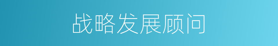 战略发展顾问的同义词