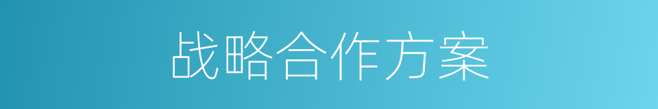 战略合作方案的同义词