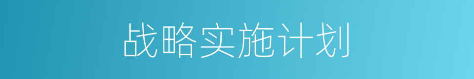 战略实施计划的同义词