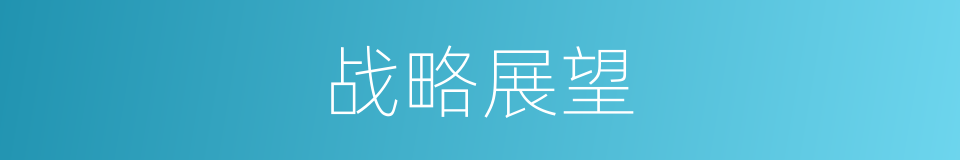 战略展望的同义词