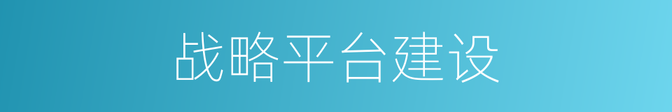 战略平台建设的同义词