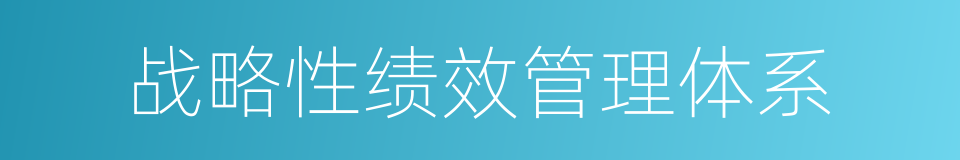 战略性绩效管理体系的同义词