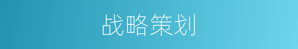 战略策划的同义词