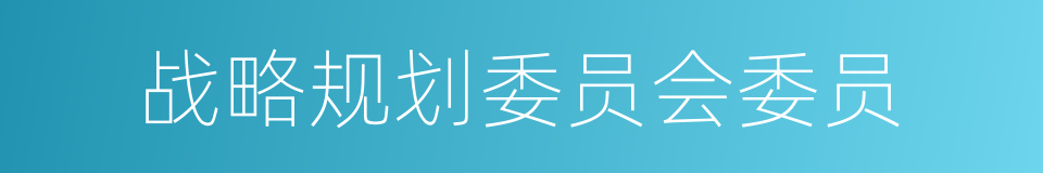 战略规划委员会委员的同义词
