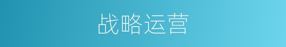 战略运营的同义词