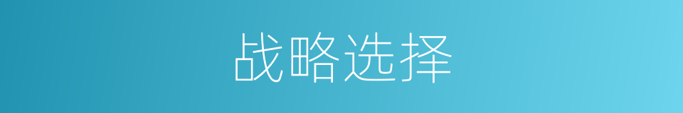战略选择的同义词