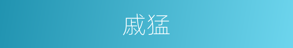 戚猛的同义词