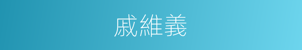 戚維義的同義詞