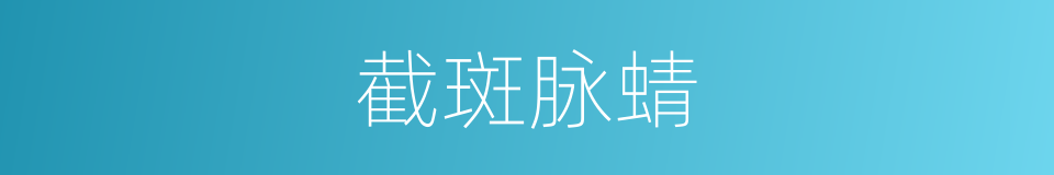 截斑脉蜻的同义词