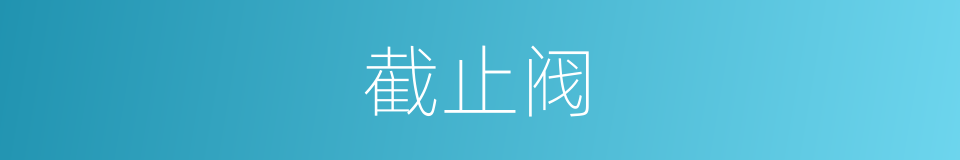 截止阀的同义词