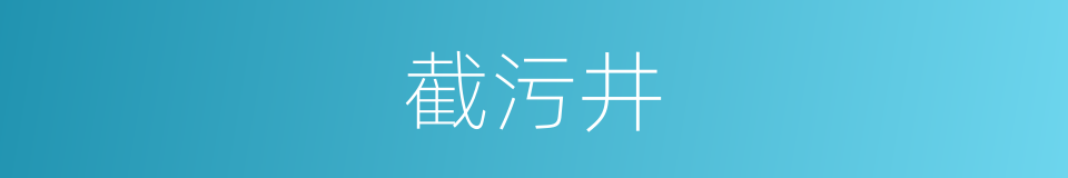 截污井的同义词