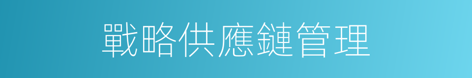 戰略供應鏈管理的同義詞
