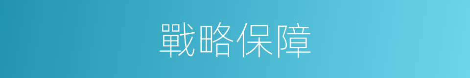 戰略保障的意思