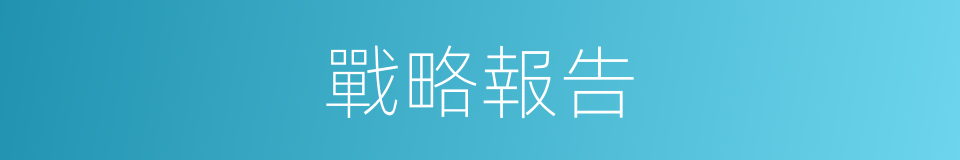 戰略報告的同義詞