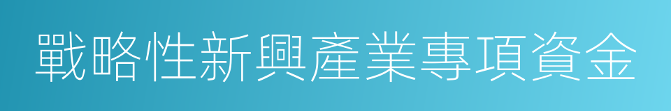 戰略性新興產業專項資金的同義詞