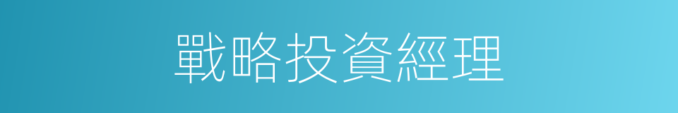 戰略投資經理的同義詞
